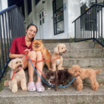 dog care
