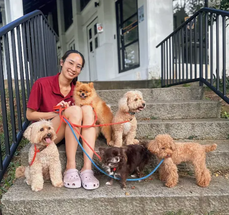 dog care