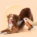dog treatment